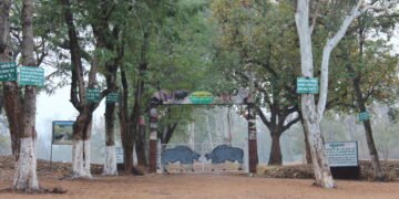 लातेहार में पर्यटन और वन्यजीव संरक्षण पर बढ़ा ध्यान: नेतरहाट और आसपास के क्षेत्रों में पर्यटकों की बढ़ती दिलचस्पी