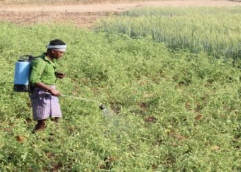 खूंटी में कृषि और स्थानीय बाजारों की भूमिका बढ़ी: किसानों को बेहतर बाजार व्यवस्था की उम्मीद